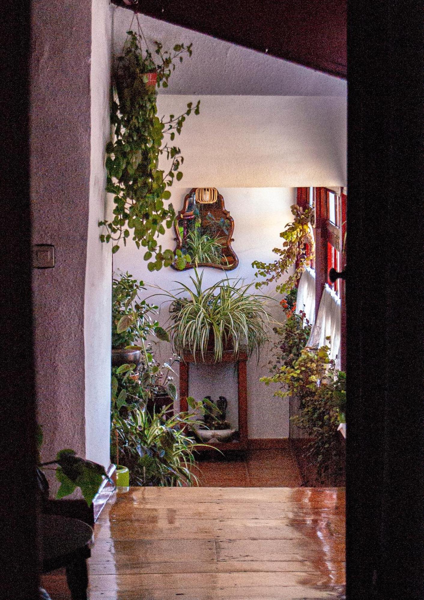 La Casona De Faedo Pension Hotel Exterior photo